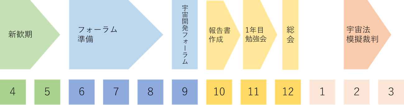 SDFの1年間の活動